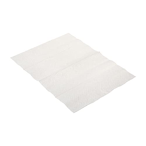 Durable 2-Ply Paper Towels for Commercial Use