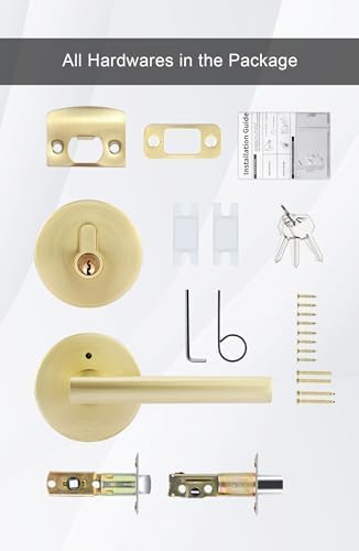 GoldenWarm 2-Pack Door Handle Set with Gold Finish