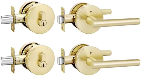 GoldenWarm 2-Pack Door Handle Set with Gold Finish