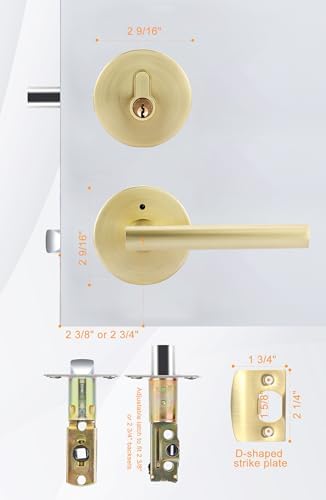 GoldenWarm 2-Pack Door Handle Set with Gold Finish