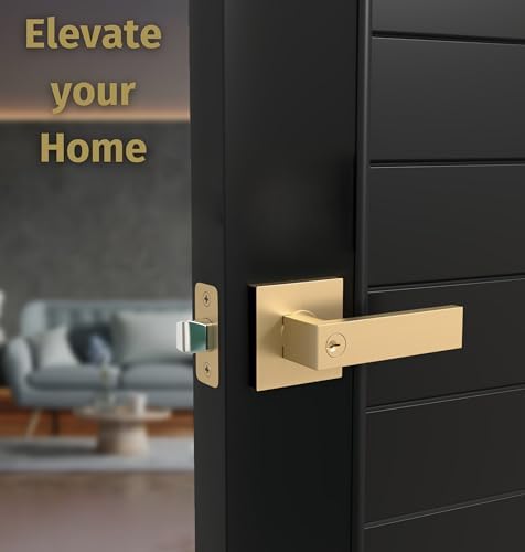 Doors - Mega Handles Entry with SATIN finish and Secure locks
