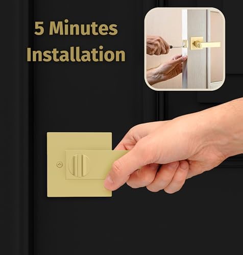 Doors - Mega Handles Entry with SATIN finish and Secure locks
