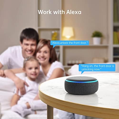 Unlock Home Needs SMONET Smart Lock with Fingerprint Bluetooth Alexa Compatible