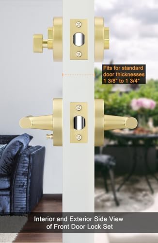 GoldenWarm 2-Pack Door Handle Set with Gold Finish