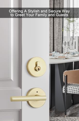 GoldenWarm 2-Pack Door Handle Set with Gold Finish