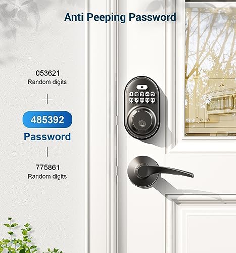 Veise Keyless Entry Door Lock Matte Black