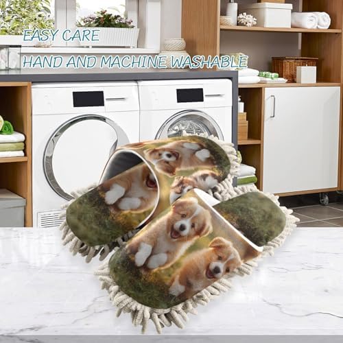 Perfect Wearable Long-Lasting Mop Slipper for Households
