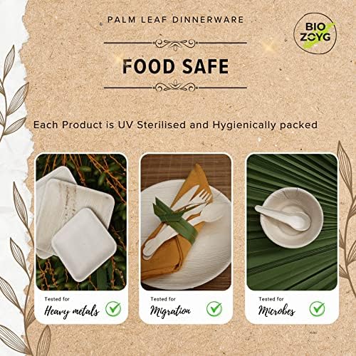 BIOZOYG 10 inch Square Plates 50 Pcs